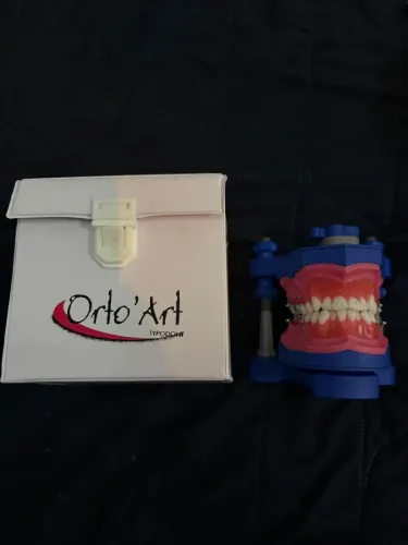 Manequim odontológico- orto 