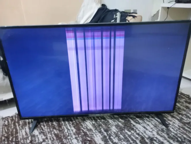 Televisão 