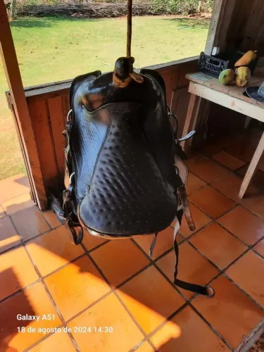 Sela de montaria 