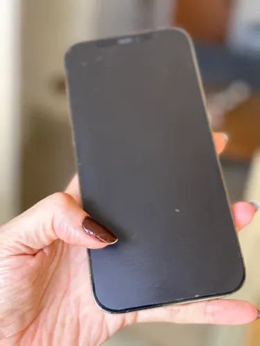 iPhone 12 Pro Max 128 gigas