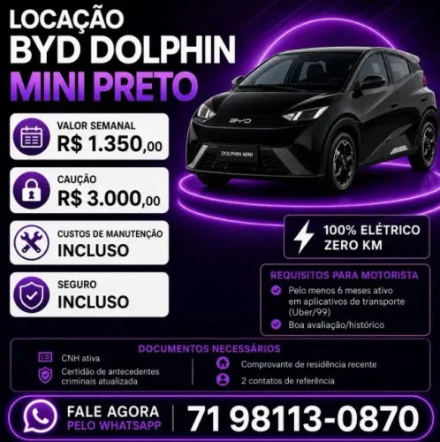 Locação Byd Mini