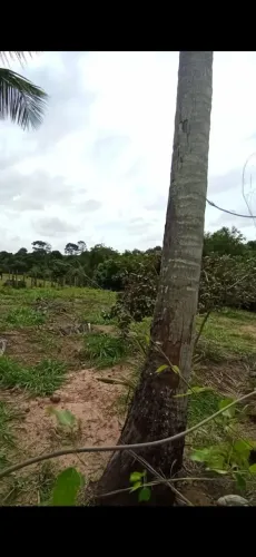 SÍTIO / TERRENO 1.000m² Comunidade EM Xuri - PARCELO, ACEITO TROCAS E VEÍCULO,