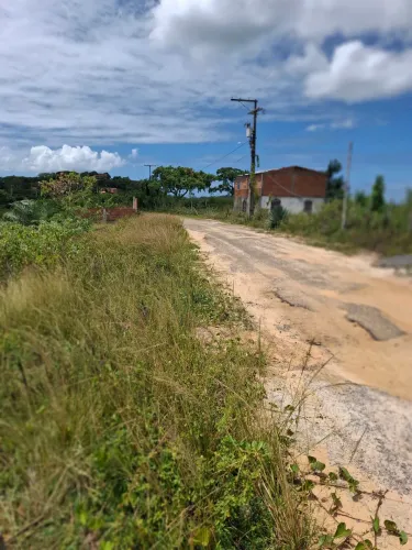 Vendo lote mas amoreiras - itaparica