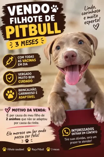 Pitbull