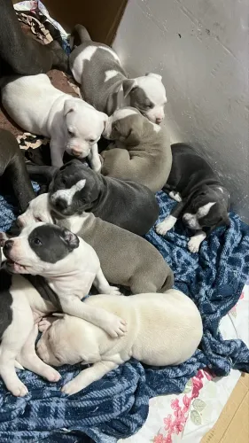 Pit monster