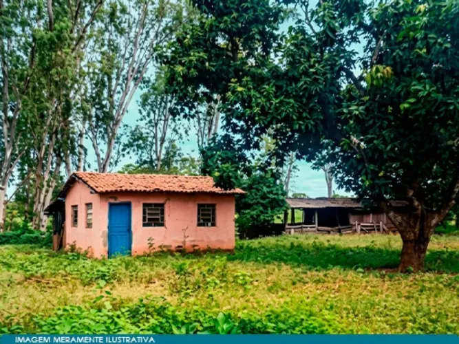 Imóvel Rural com Área de 256 ha (Fazenda Impoeira) - Flores de Goiás - GO