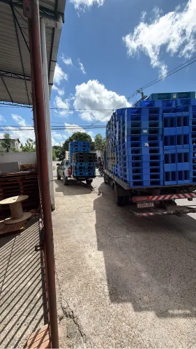 Vende-se palete de madeira e de plástico