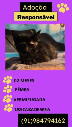 Adoção responsável