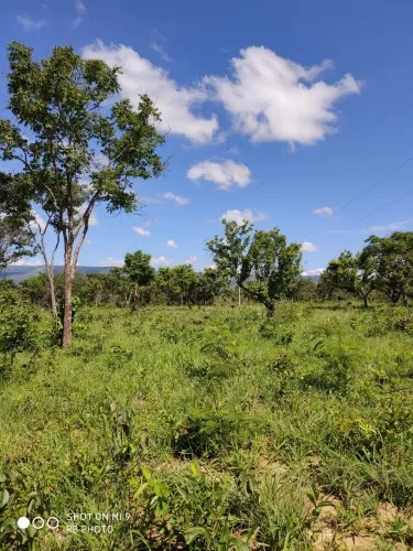 Sítio de 29,8ha só R$150 mil