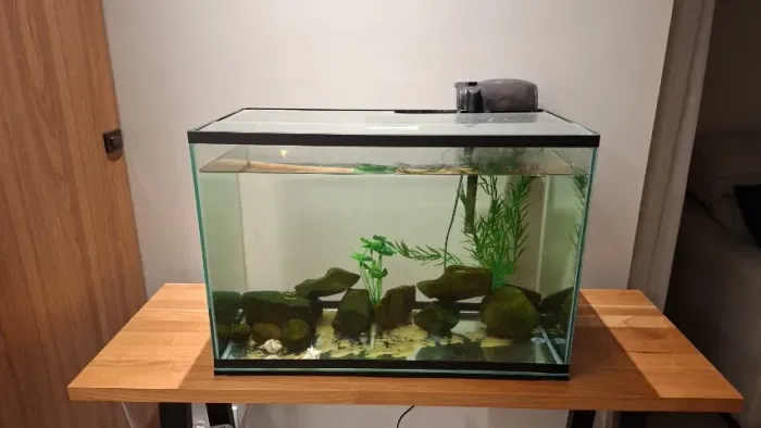 Kit Aquário 70L Completo - Filtro, Testes, Sifão e Decoração