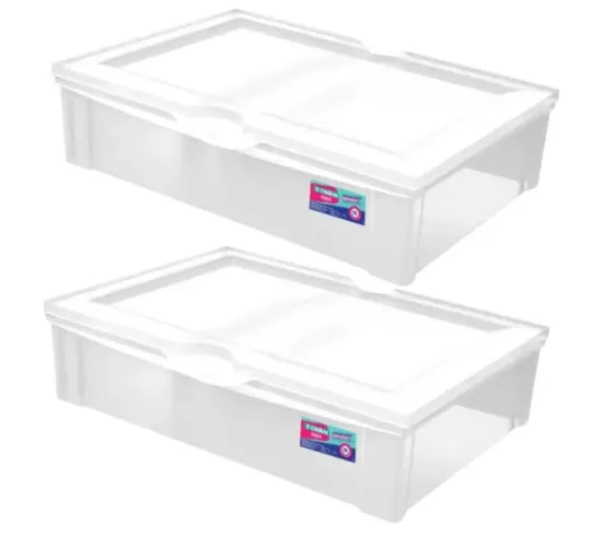 Caixa Organizadora 29L Ordene Liso 63x42x14 cm 