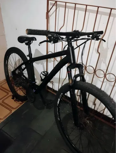 Bike ARO 29