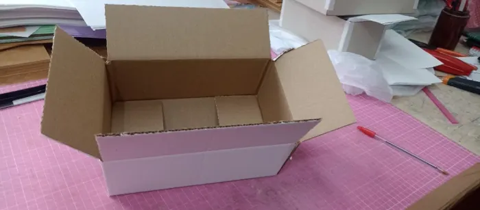 Caixa de papelão ondulado 15x24x9cmde altura (20 caixas)