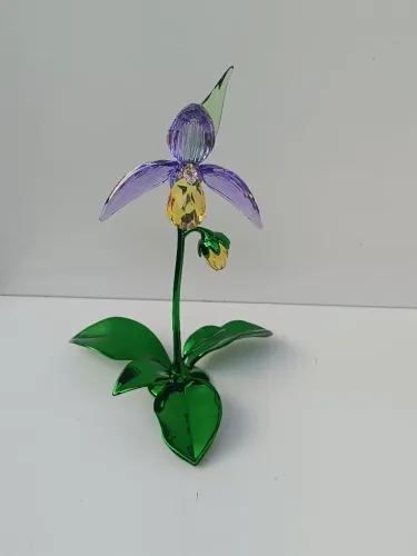 orquídea sapatinho_swarovski