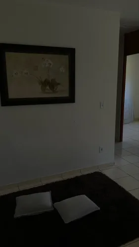 Divido apartamento