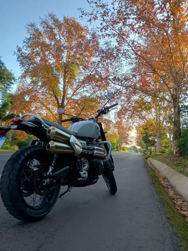 Triumph Scrambler 1200 X