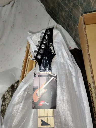 Guitarra Steinberg SGS 250tdk zera