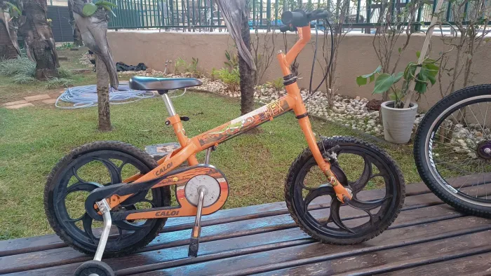 Bicicleta