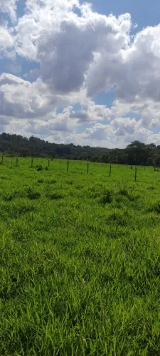 Fazenda mg050 entre div/ita