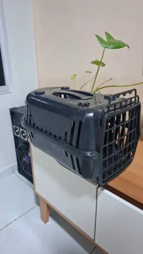 Caixa para transporte de animais