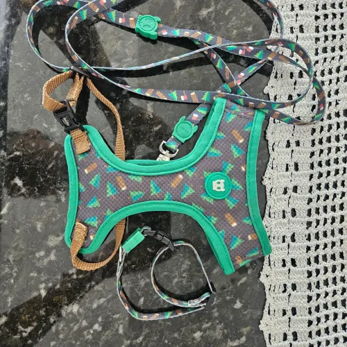 Kit Coleira Zeedog