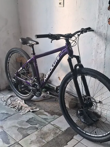 Vendo absolute nero 5 tam 17