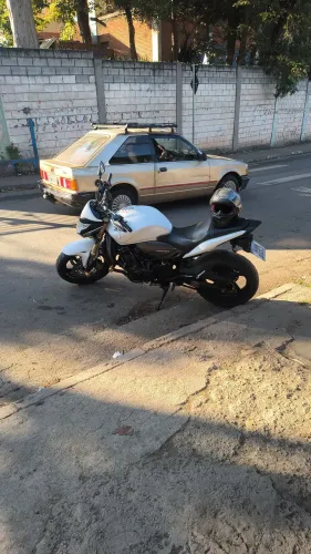 Hornet 