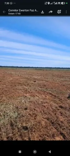 Fazenda de arrendamento 5.300hec gradeado são José xingú