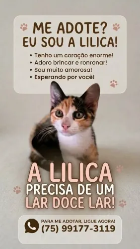 Adoção da lilica