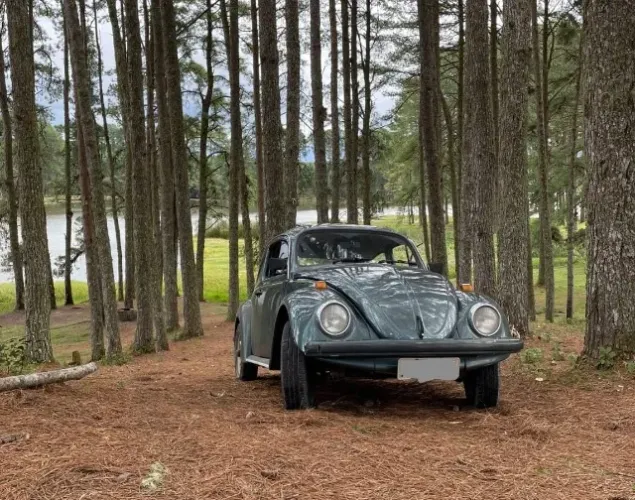 Volkswagen Fusca Fusca (gasolina) 1994