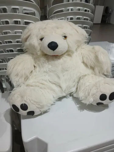 Urso grande