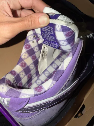 Nike Dunk SB purple lobster