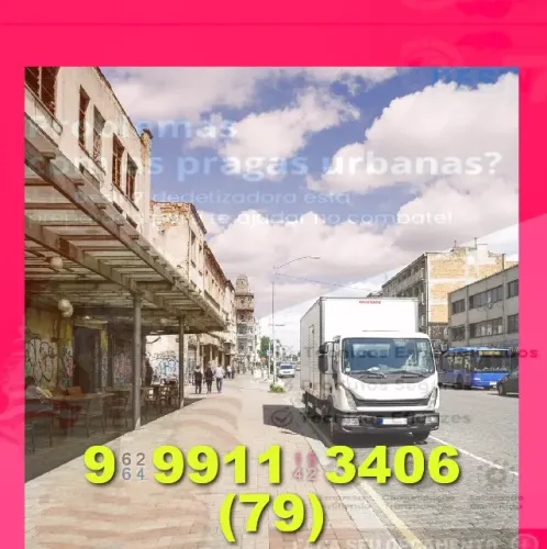 Frete! ótimo serviço!) barato e seguro! Transporte de cargas e mudanças!