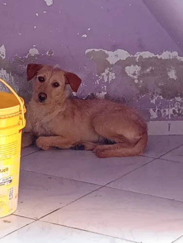 Doação