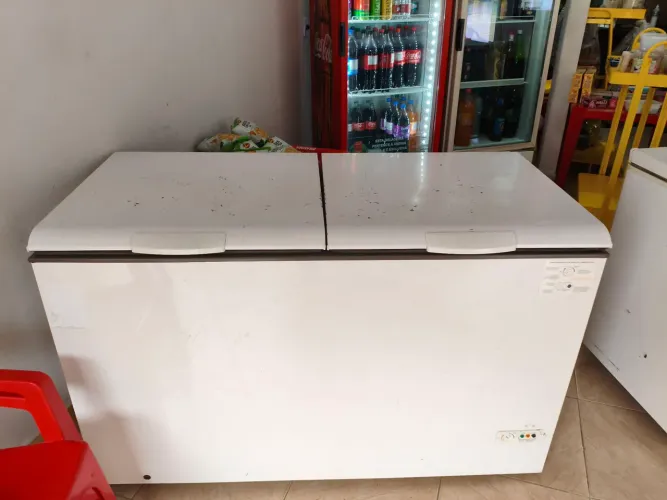 Vendo 2 freezer