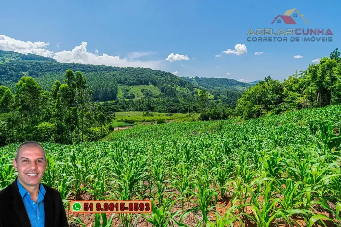 Chácara de 5 hectares com Vista Panorâmica à VENDA Igrejinha - RS