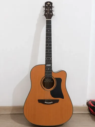 Violão Steinberg Eletroacústico Folk Cutaway