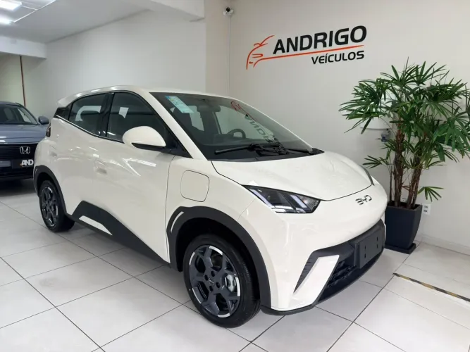 BYD Dolphin Mini (Elétrico) 2027