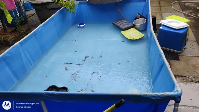 Piscina Standart 3,000 mil litros
