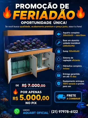 Aquário 200x50x50 em vidro 10mm COMPLETO
