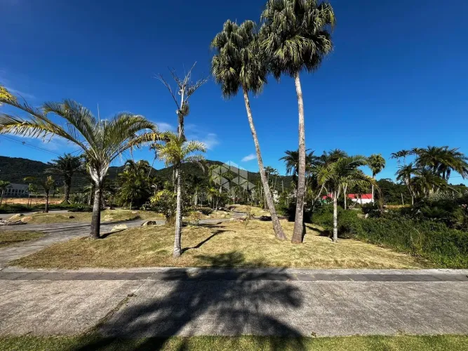 Terreno a venda no Real Parque