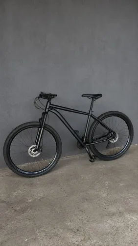 BIKE ARO 29