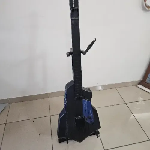 Guitarra Casio DG-10
