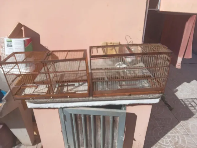 Vendo duas Gaiolas. Ver descrição completa