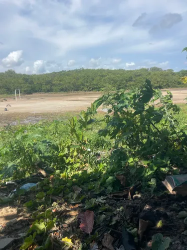 Casa de andar para alugar