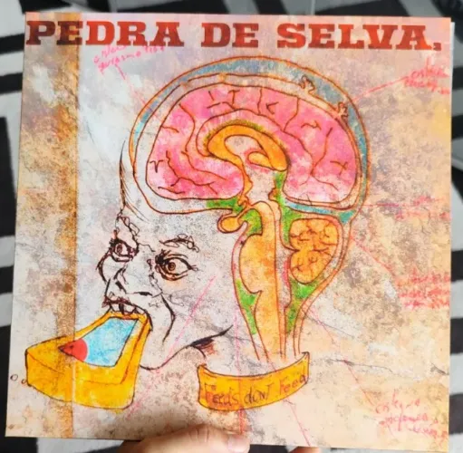 LP Curumin - Pedra de Selva - Noize (Novo)