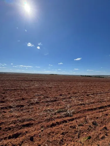 Fazenda de arrendamento 2.000hec plantando entre sorriso e nova ubiratã MT. Ágio 5 milhoes