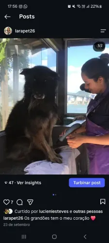 Tia Lara Pet