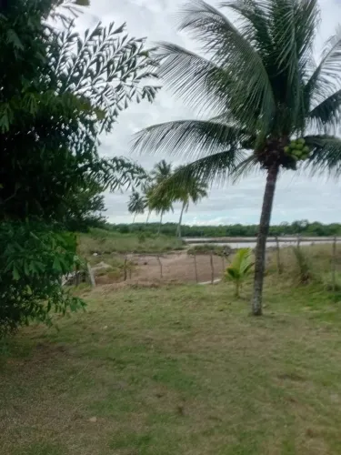 Terre(*no sítio e fazenda terreno a venda
