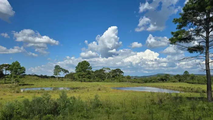 Fazenda à venda próximo à Lages